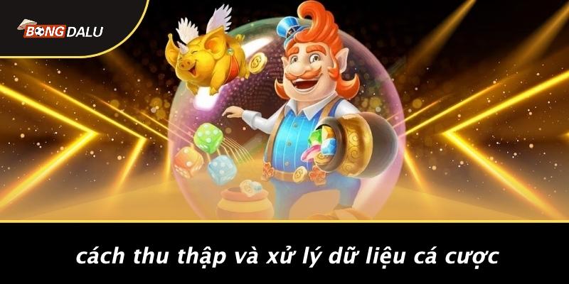 Cách Thu Thập Và Xử Lý Dữ Liệu Cá Cược